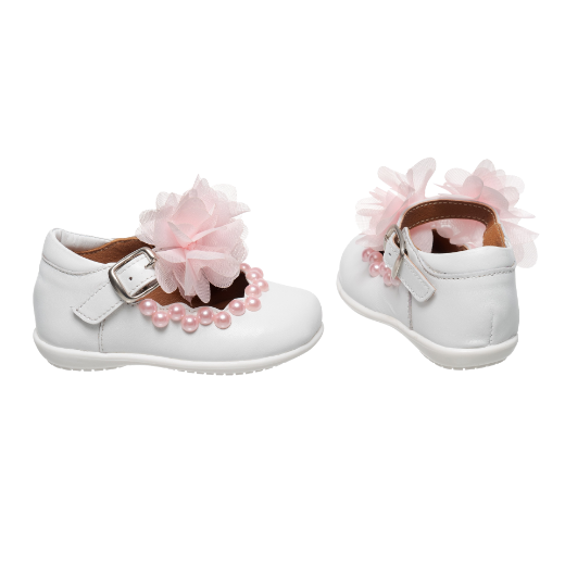 Εικόνα της Μπαλαρίνα Κυκλάμινο