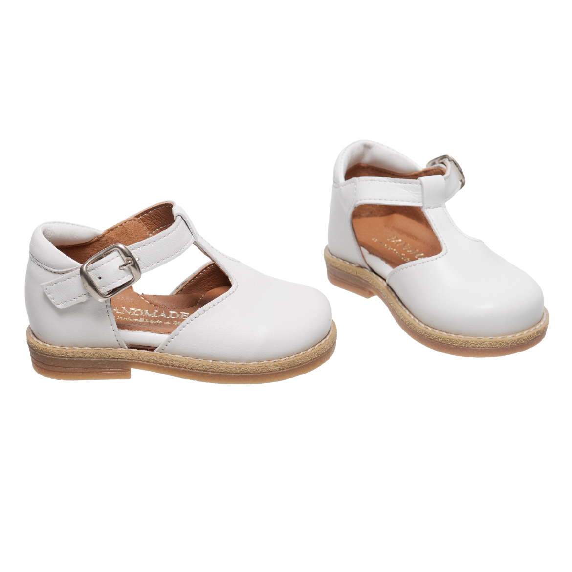 Picture of Anemone Ballerina 