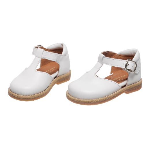 Picture of Anemone Ballerina 