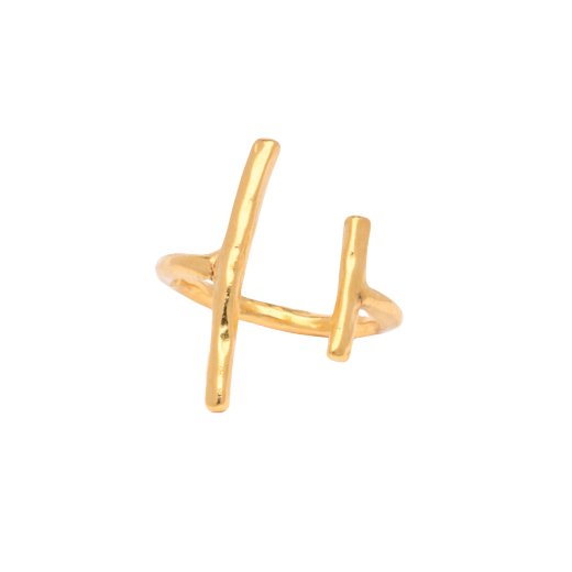 Picture of Women's 24k gold plated adjustable double bar ring