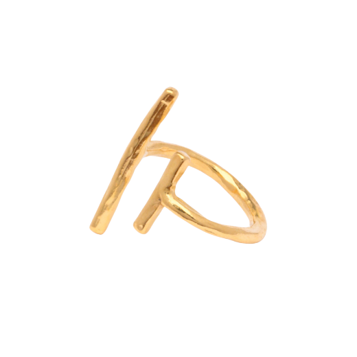 Picture of Women's 24k gold plated adjustable double bar ring