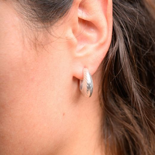 Picture of Silver thick hoop earrings