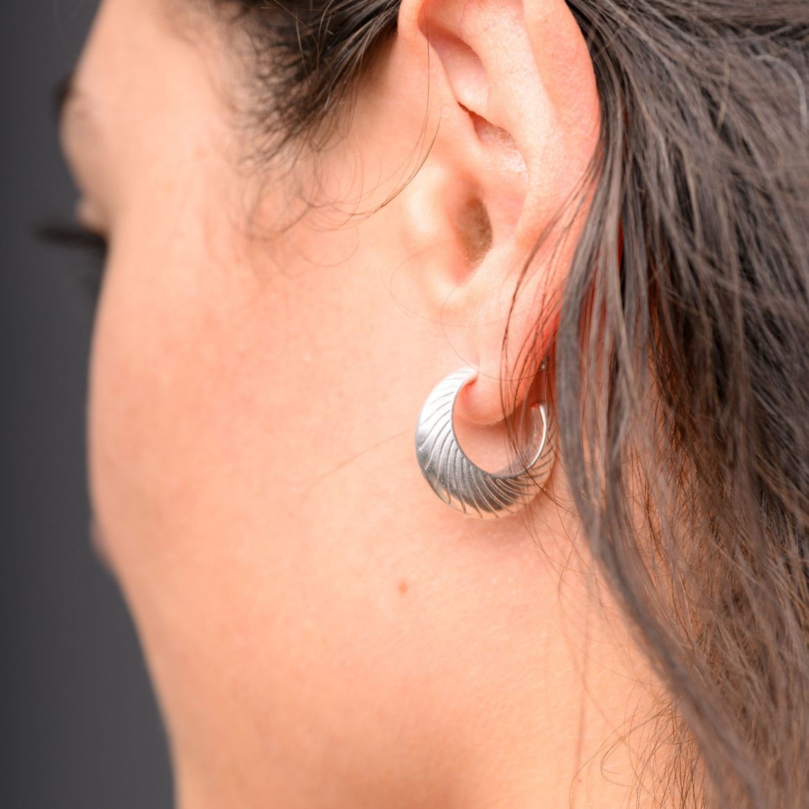 Picture of Silver thick hoop earrings