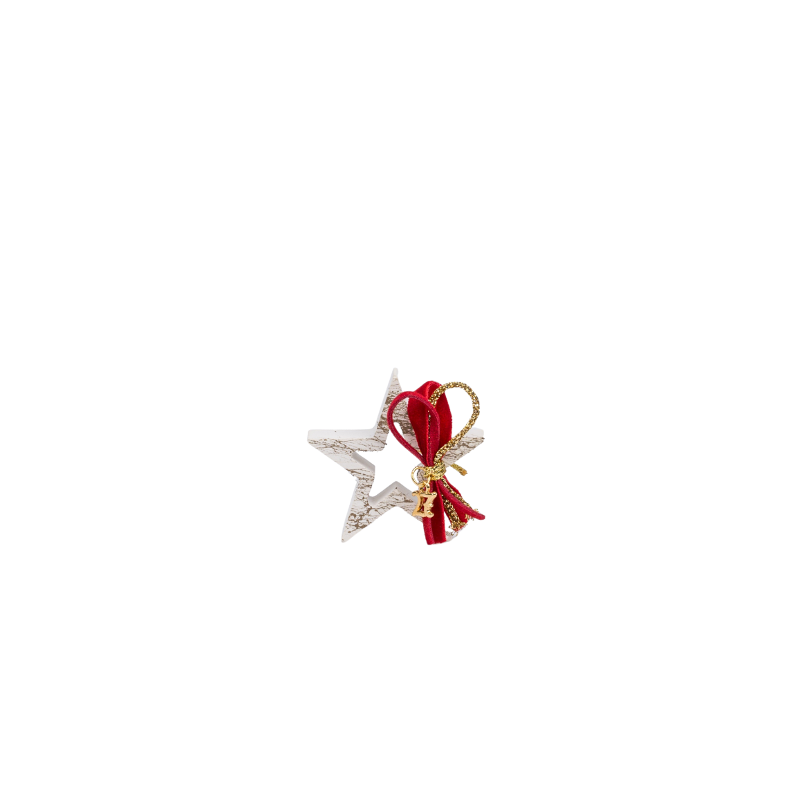 Picture of Small Jesmonite star gouri 2027